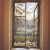 Country Window