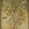 Golden Pears