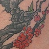 Cherry Tree