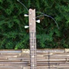 Bullet guitar