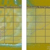 Month 12 Page Layout
