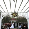 Gazebo wedding