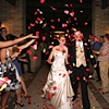 Rose petal departure