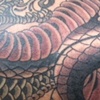 kevin snake