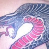 sonnia ribs2