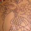 jaqs back