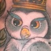 owl1