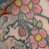cherry blossom bird