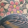 cherry blossom bird