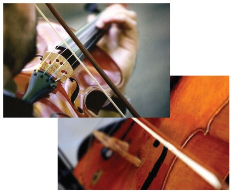 penn strings