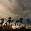 Sundown, Belize, Central America 