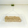 Desert Grass