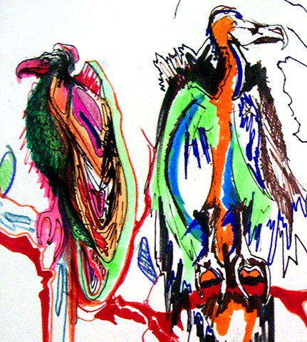 Vultures; A Closeup