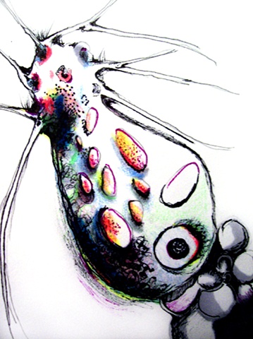 Sea Creatures