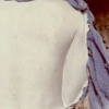 Narcissus detail1