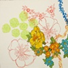 Florilegium Series #2 (sempervivum chaenomeles toyo-nishiki madreporaria klema)