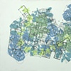The Dissection of Convergence (laminariaceae mapeltrēow saccharum kuta scintilla inaltus)