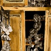 The Wonder Parlor