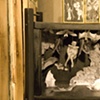 The Wonder Parlor
