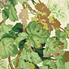 Untitled Wallpaper Sample (Detail)