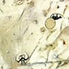 Moons Of Day