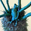 Kitty Blue