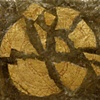 REMARKED  UPON  BOOK, 2009