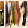 The Georgia Book