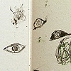 The Georgia Book