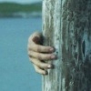 pole