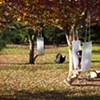 SWINGS 2008
