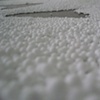 TRANS- ESTATE,  2006 