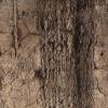 Reformation