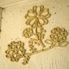 Flor