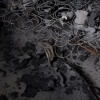Remains