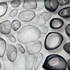 Photograms