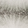 Force - detail
