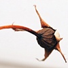 Untitled 2009