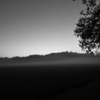 Fog at Dusk