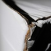 Untitled 2008