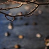Untitled 2008