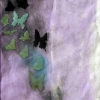 Butterfly seires-purple net