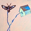 moth attached to house