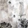 Otter Series- S