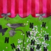 The Curtain-Narcissa
