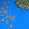  Butterfly-blue catch