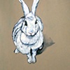 bunny and bow