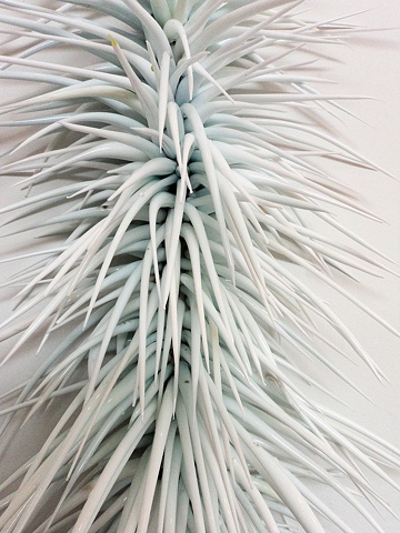 Spike (Detail) 