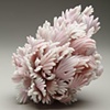 Peach Blow Away