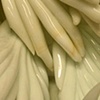Milk (Detail)